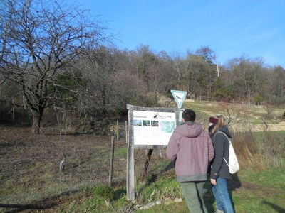 Interpretationsangebote in der Natur