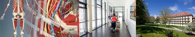 Klinisches Propädeutikum