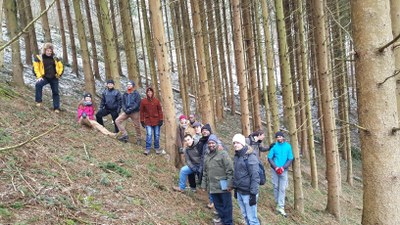 18.2. - 8.3.2019: Kohlenstoffbindung durch Wälder und Böden