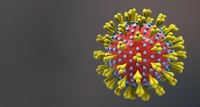 Corona Virus Empfehlungen