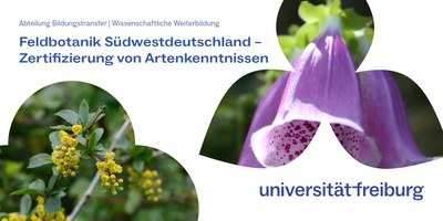 Zertifizierung von Artkenkenntnissen: die Nachfrage gibt uns Recht Zertifizierung von Artkenkenntnissen: die Nachfrage gibt uns Recht