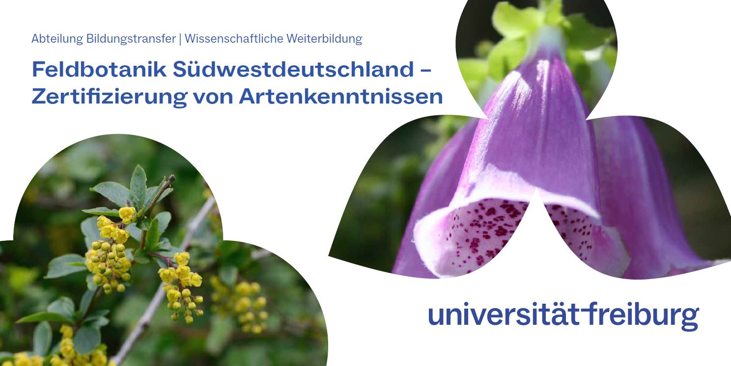Zertifizierung von Artkenkenntnissen: die Nachfrage gibt uns Recht