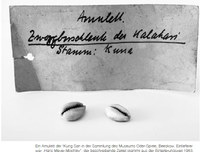 Museumssammlungen: Was ist es und woher kommt es?